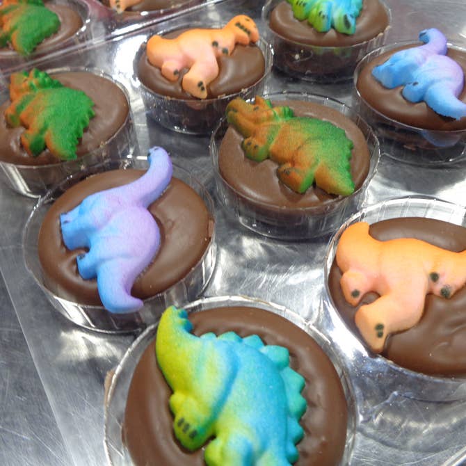 🦖Chocolate Covered Oreo "Dinosaur" 🍪🦕(Box of 9)