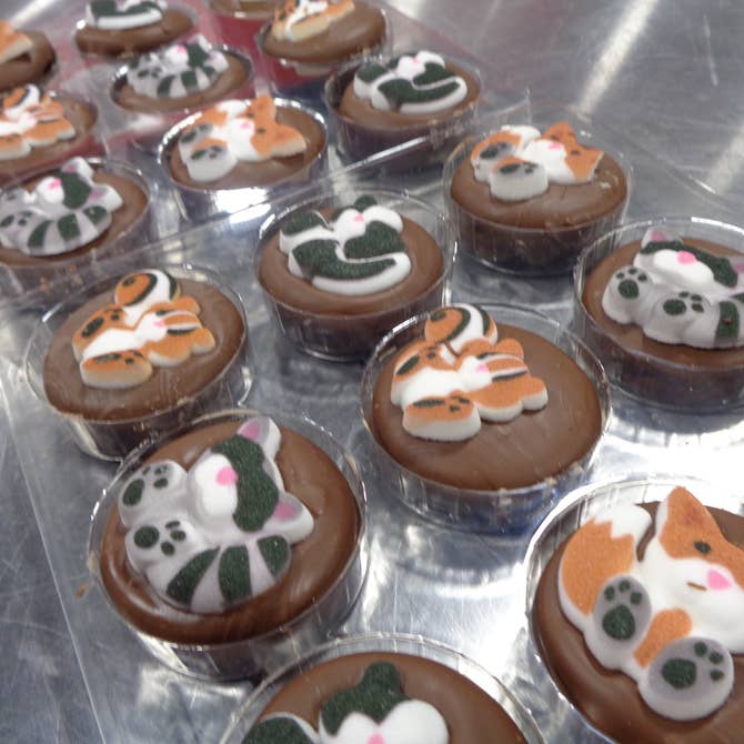 🦌Chocolate Covered Oreo “Forest Animals”  🦉 Box of 24