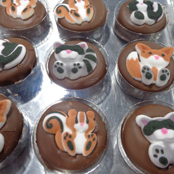 🦌Chocolate Covered Oreo “Forest Animals”  🦉 Box of 24