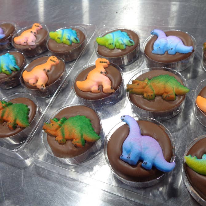 🦖Chocolate Covered Oreo 