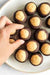 Over sized Chocolate Buckeyes Milk Chocolate Box of 12 - Bear Creek Candy Kitchen